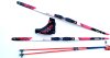 Ski Set Rossignol Delta Sport Sk mit Bdg. Schuhe X 10 Skate und Stöcke
